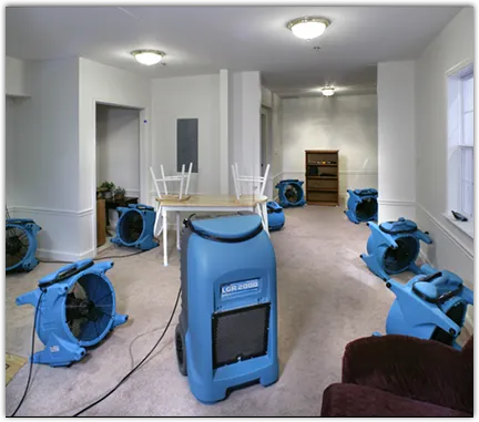 Drying & Dehumidification in Vernon, NY