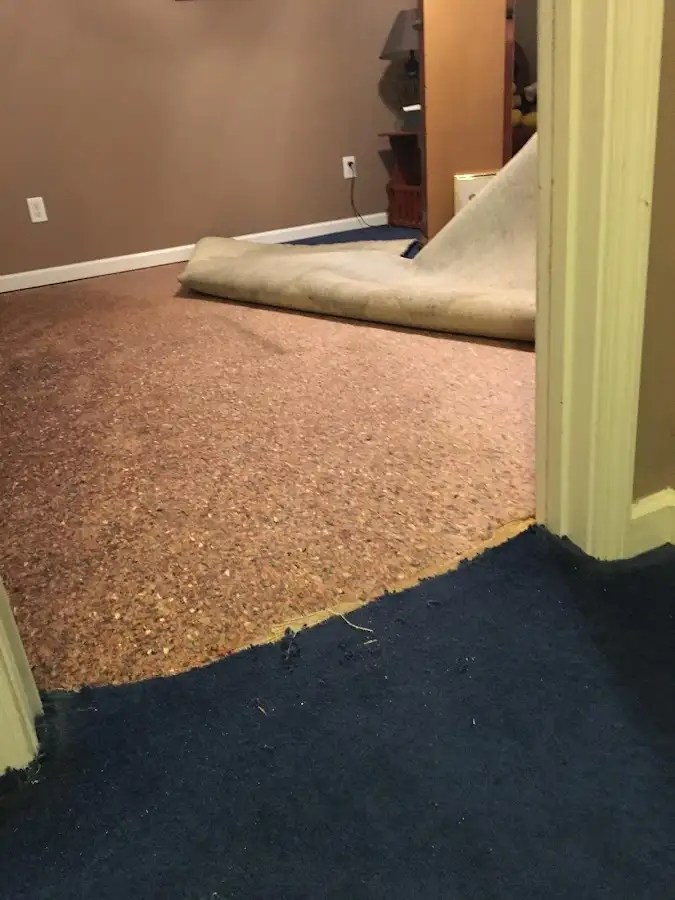 Carpet pad removal revealing water damage during Drying & Dehumidification in Vernon